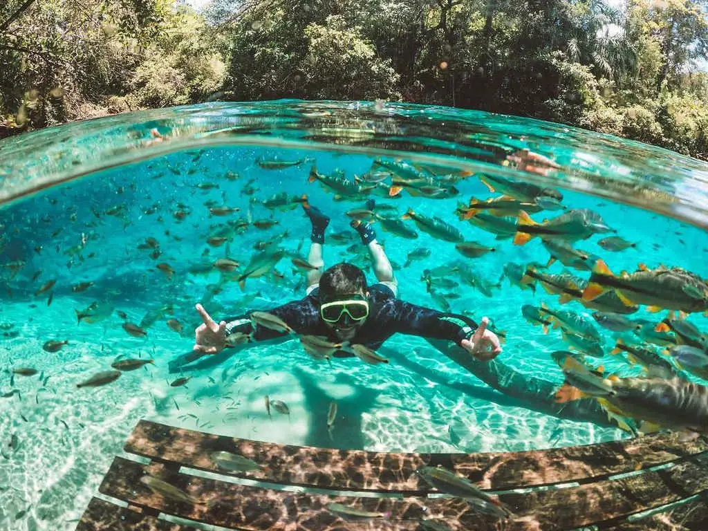 Descubra onde ir em janeiro de 2025! Os melhores destinos para viajar no Brasil e praias imperdíveis para suas férias. Planeje sua viagem já